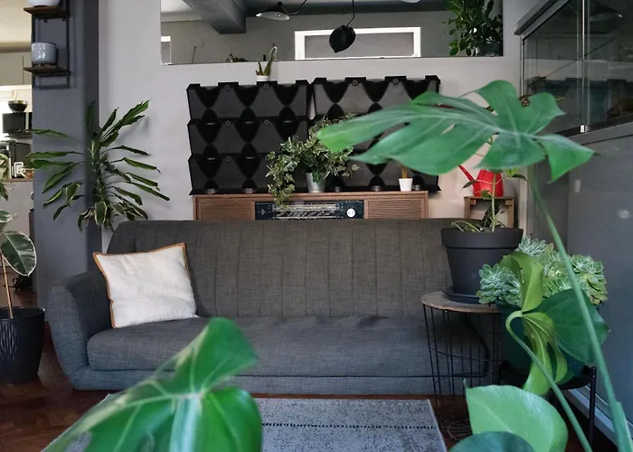 Draft Hostel & Rooms